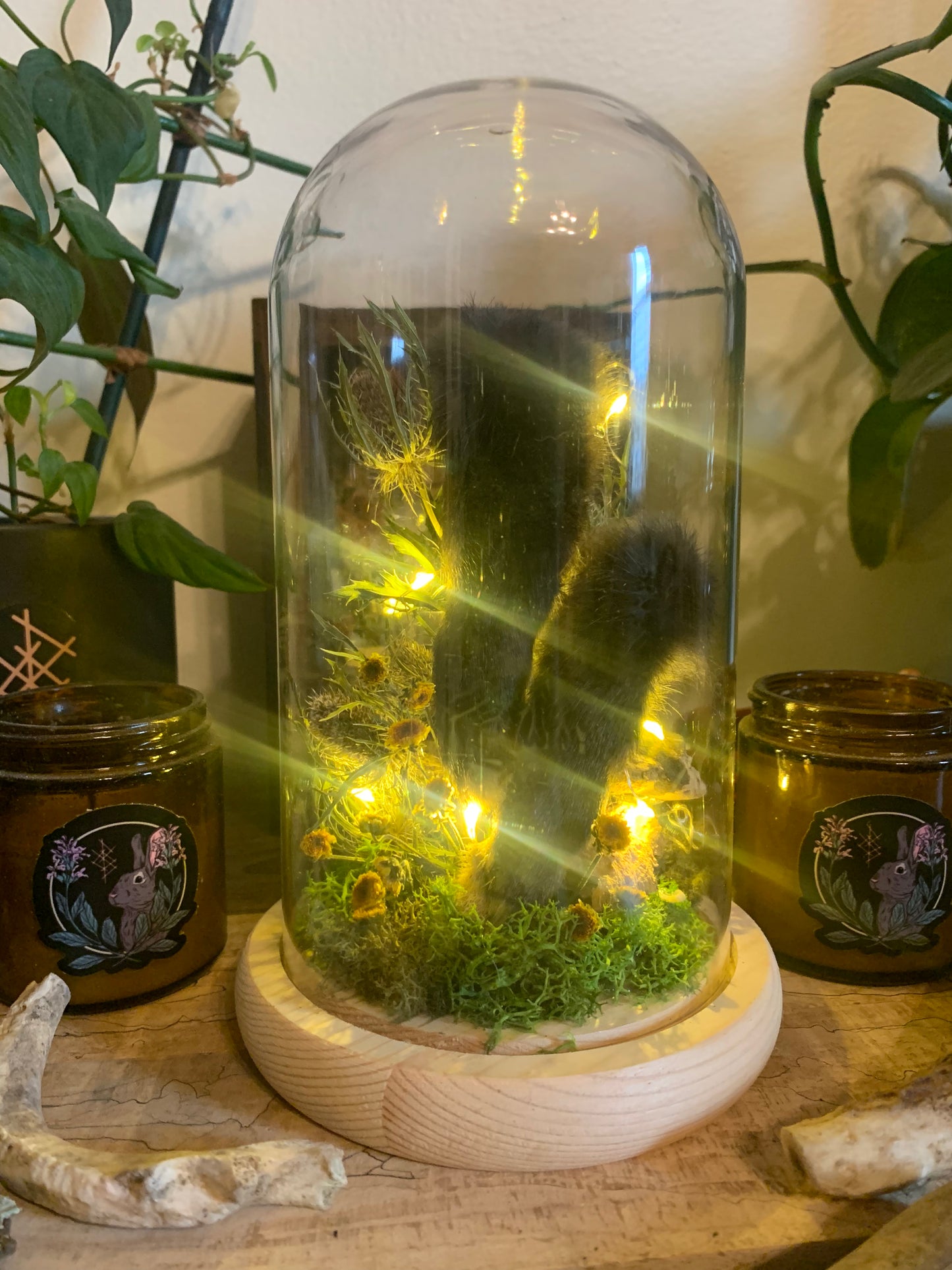 large rabbit feet forager light up dome