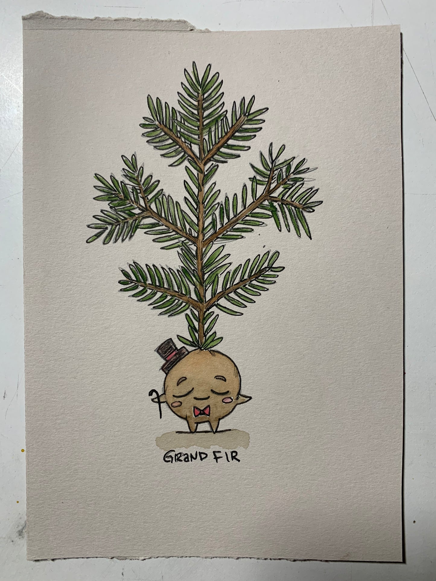 Tree friend illustrations