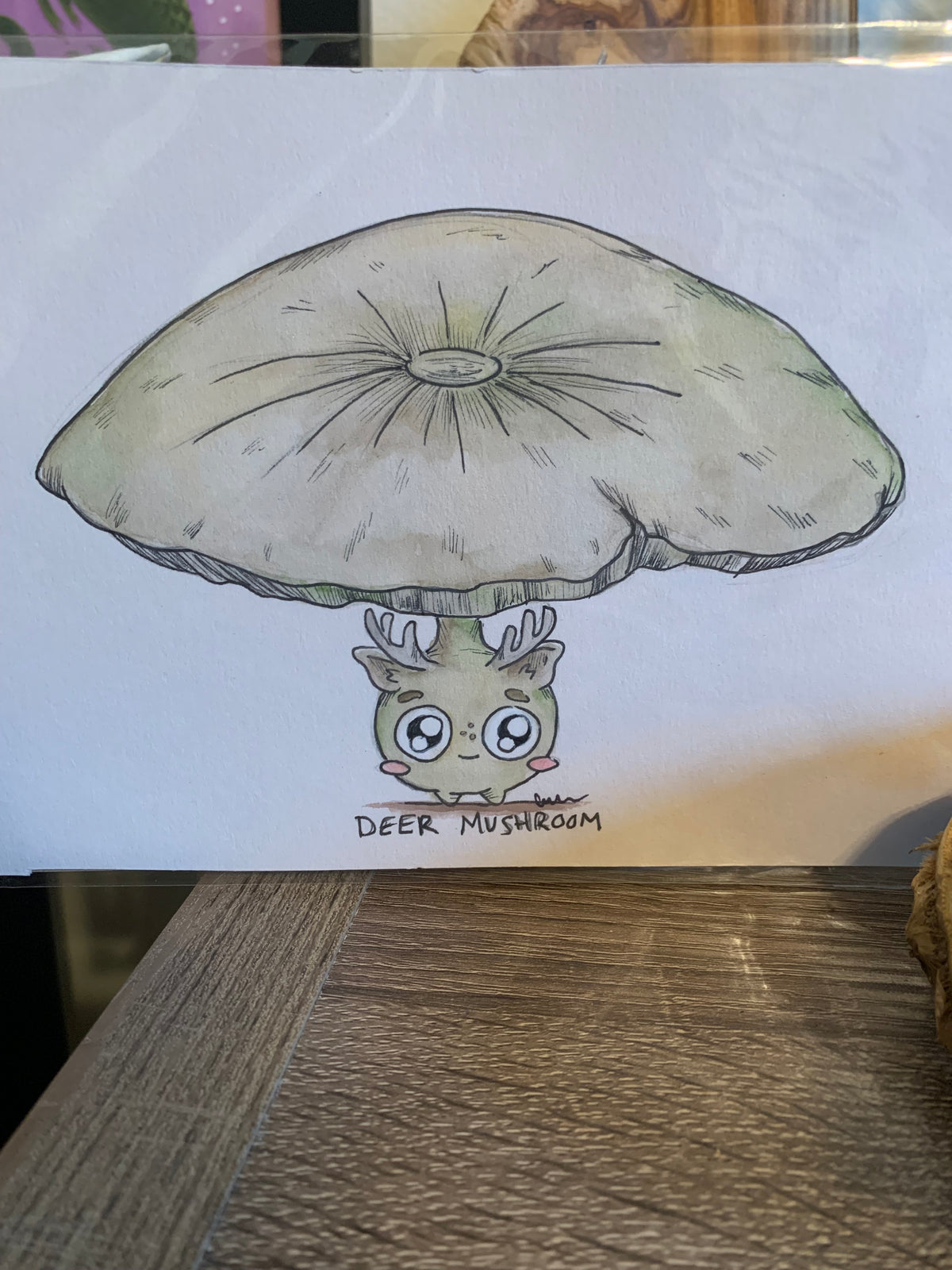 Fungi friends illustrations