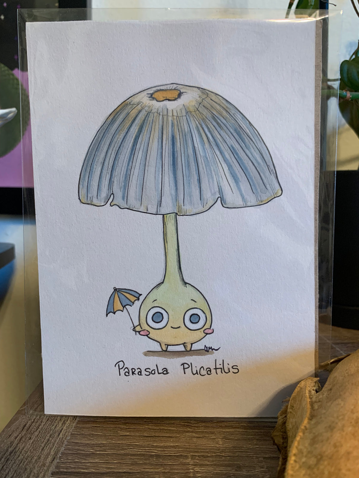 Fungi friends illustrations