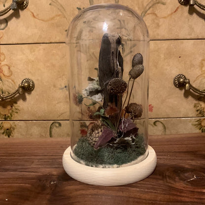 Foragers Dome / pinecone