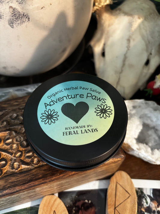 Adventure Paws. Herbal Dog Paw Salve