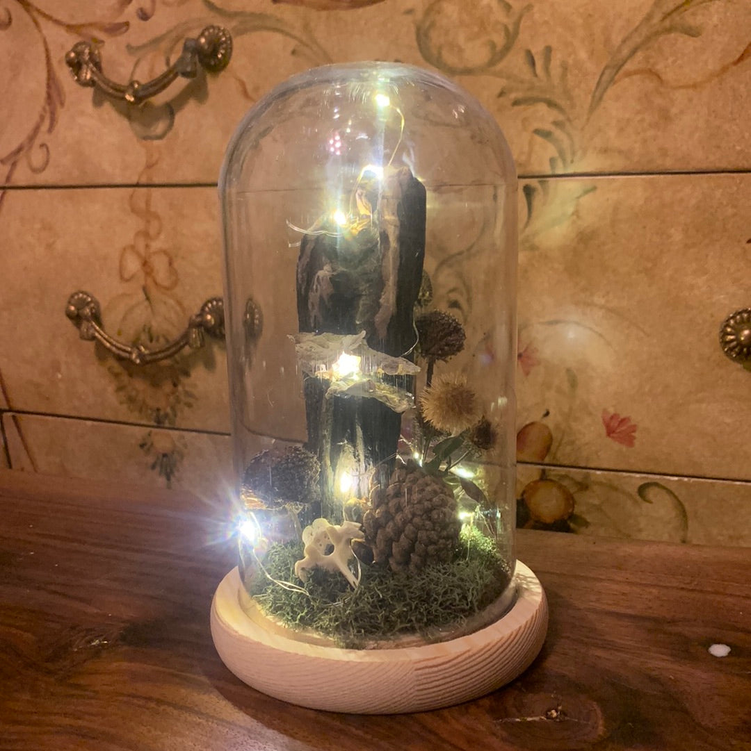 Foragers Dome / pinecone