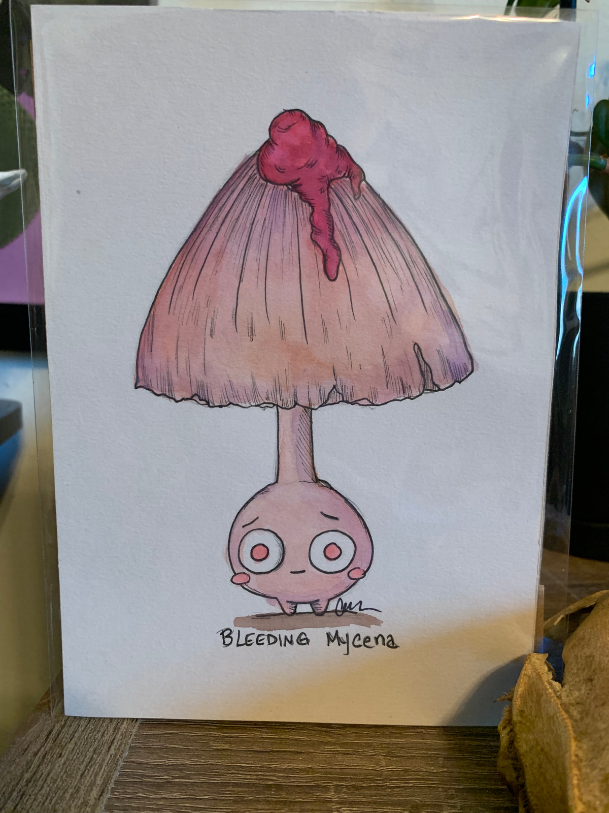 Fungi friends illustrations
