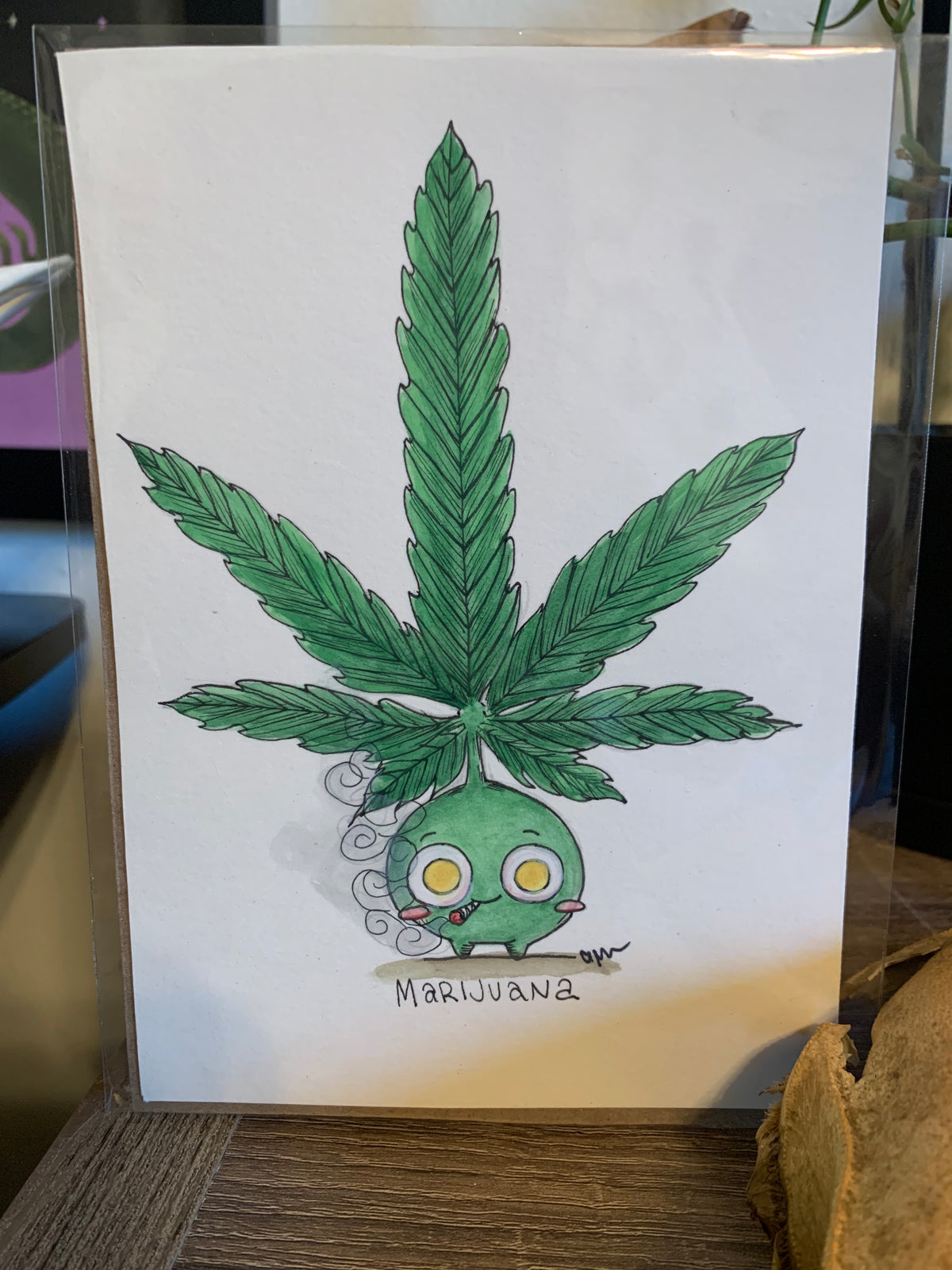 Plant friends illustrations