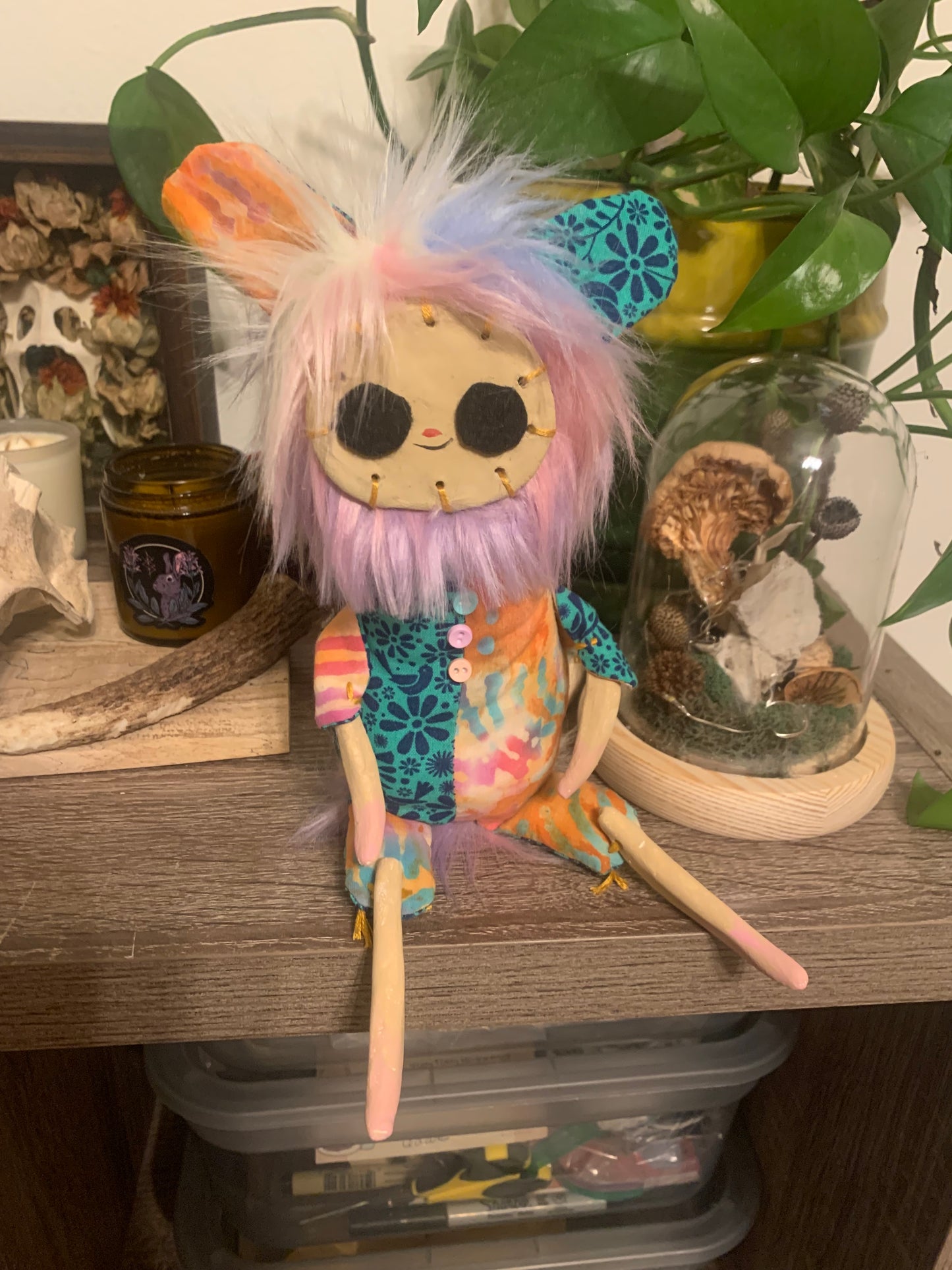 Let’s take a trip poppit