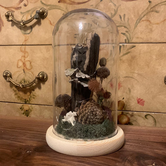Foragers Dome / pinecone