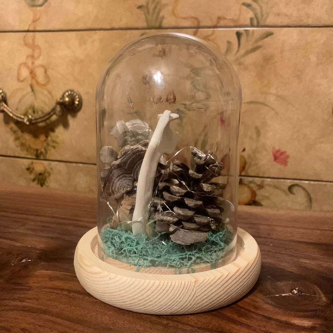 Foraged Dome
