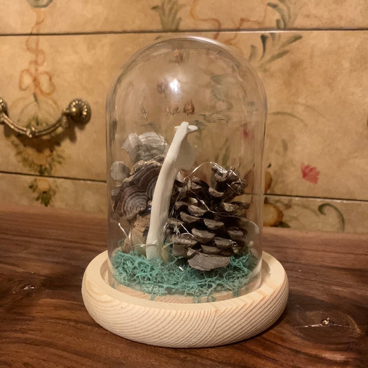 Foraged Dome