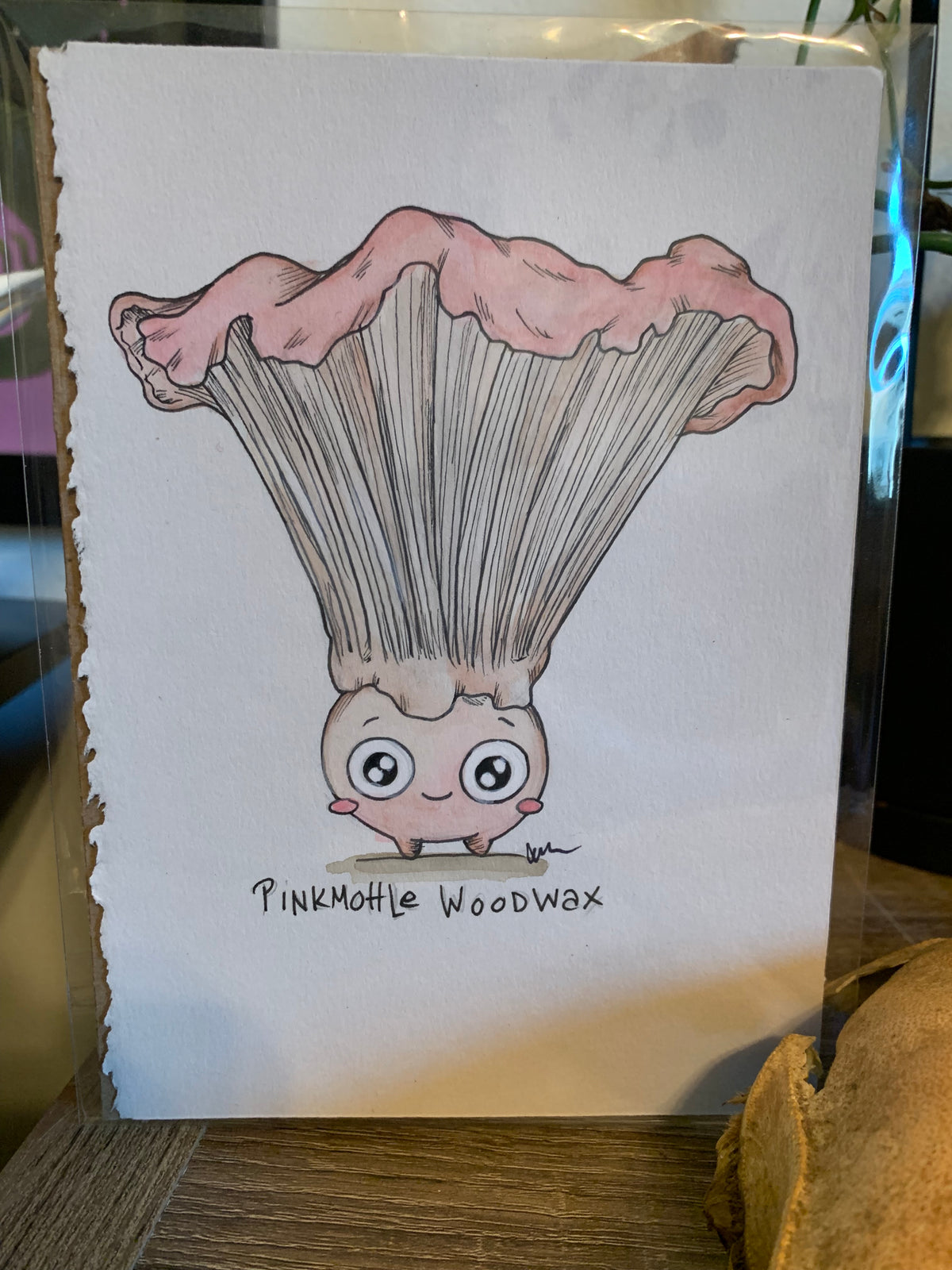 Fungi friends illustrations