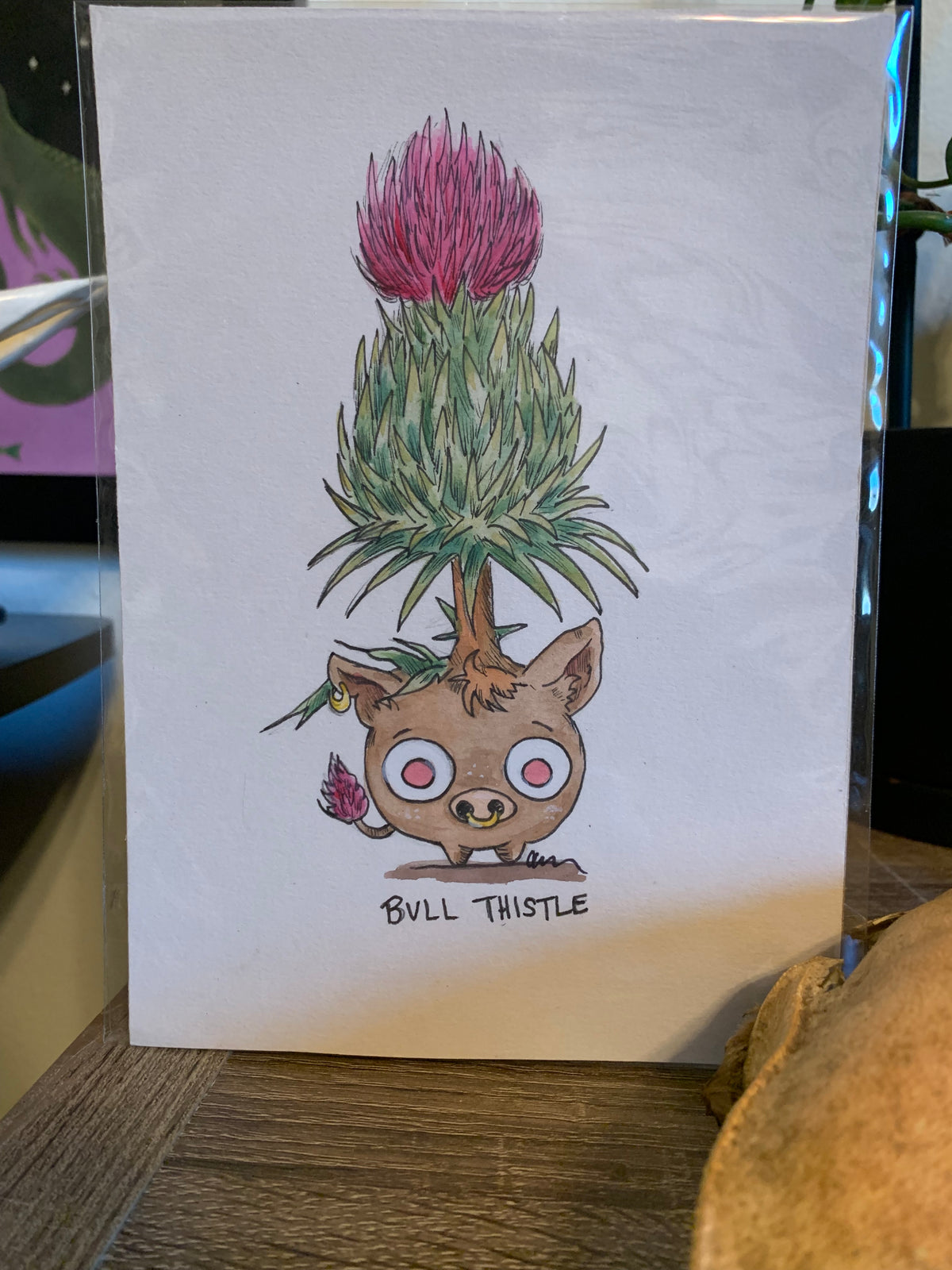 Plant friends illustrations