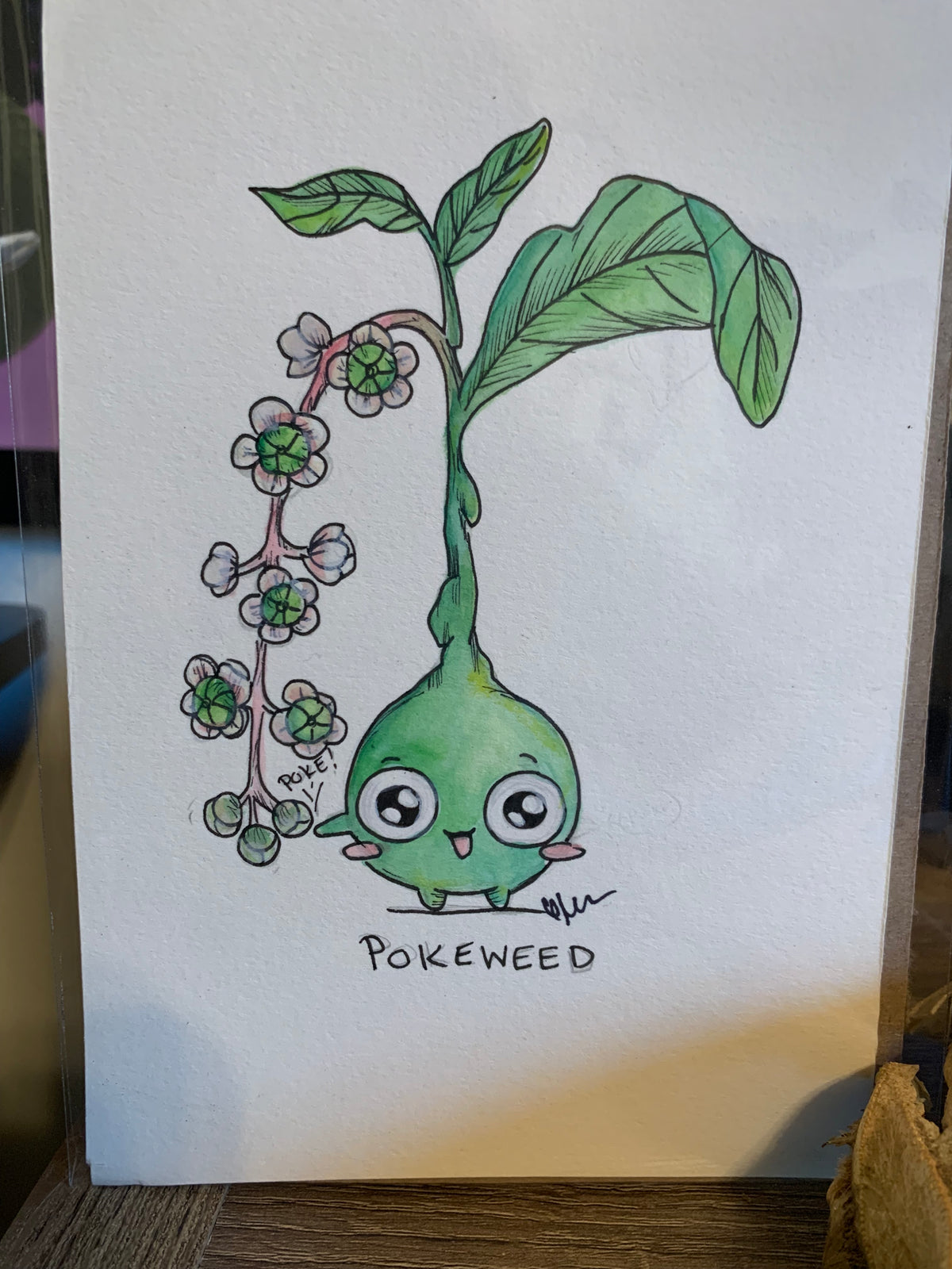 Plant friends illustrations