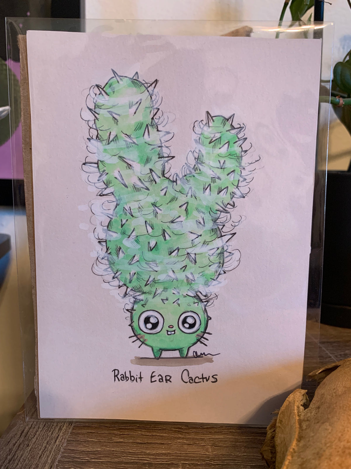 Plant friends illustrations