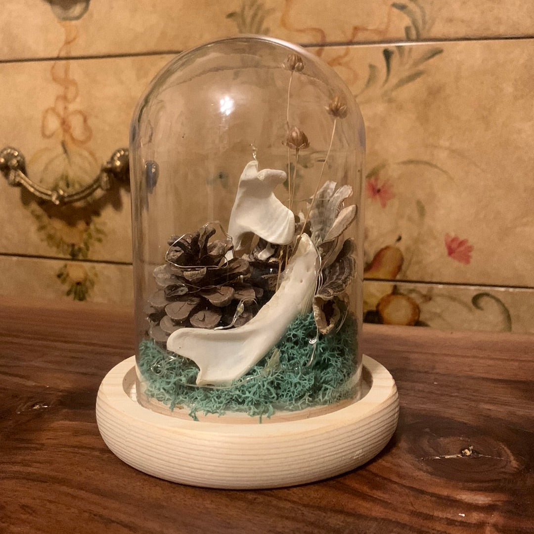 Foraged Dome
