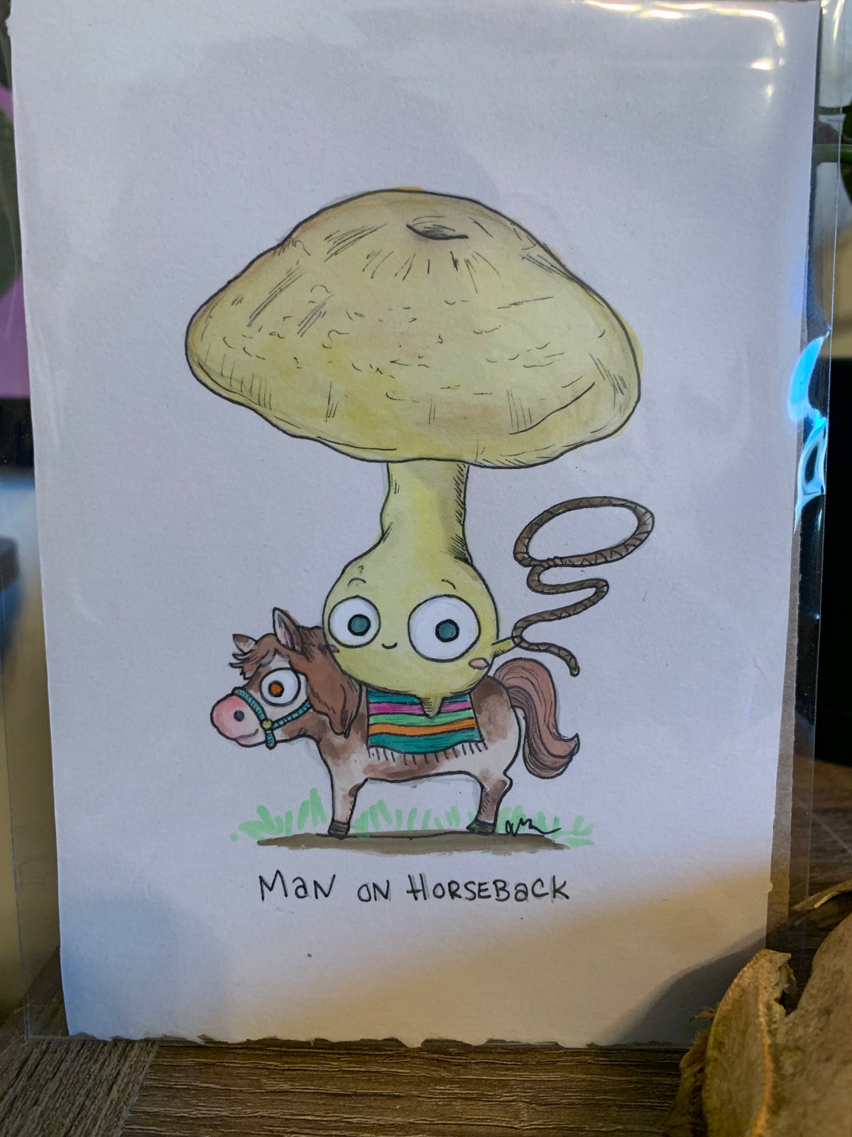 Fungi friends illustrations