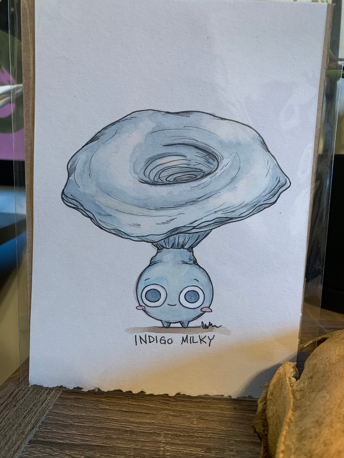 Fungi friends illustrations