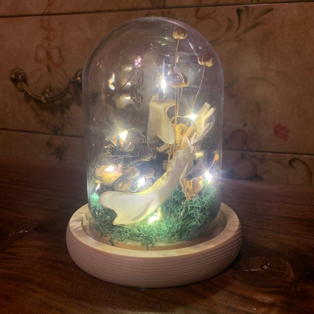 Foraged Dome