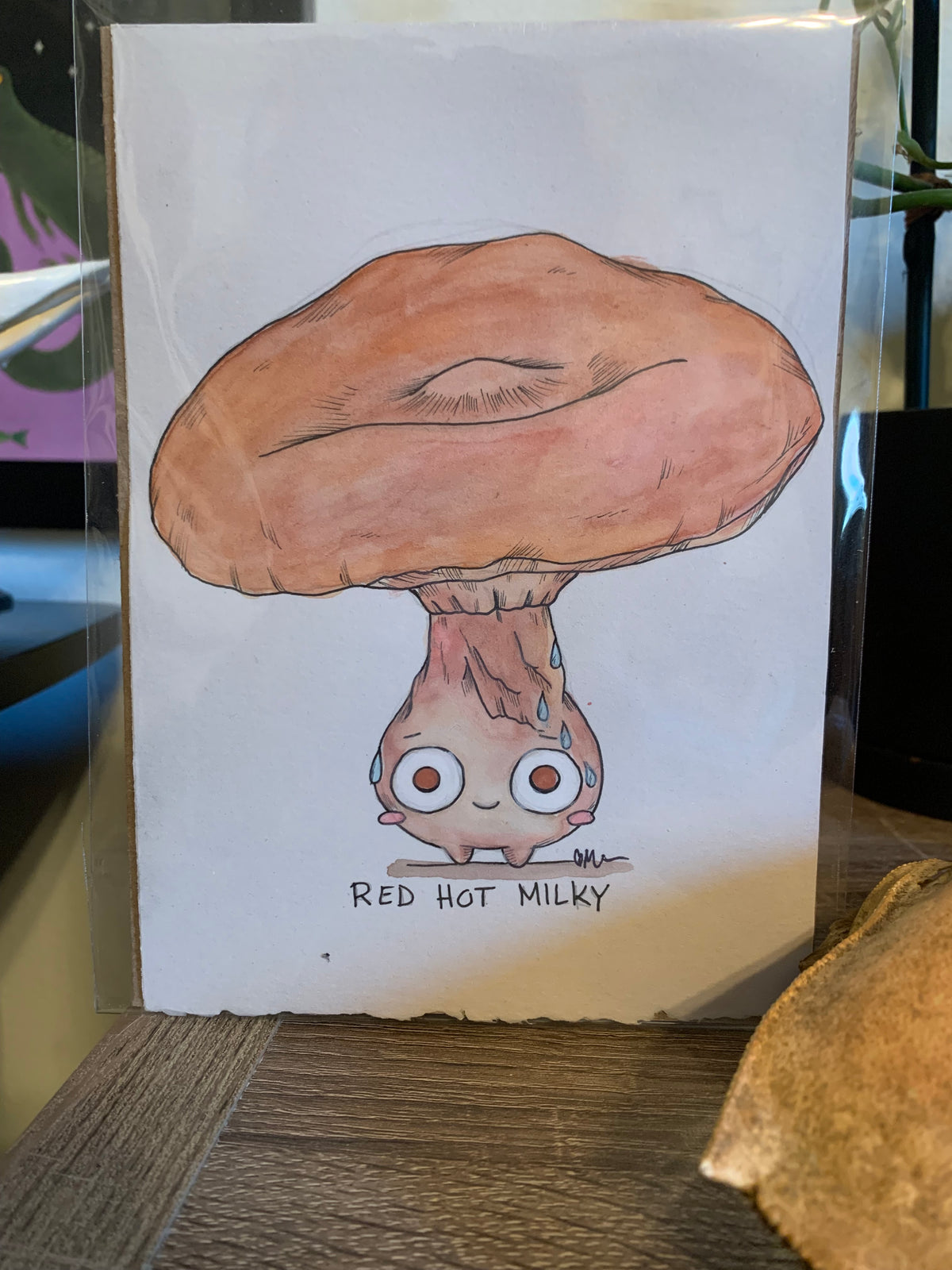 Fungi friends illustrations