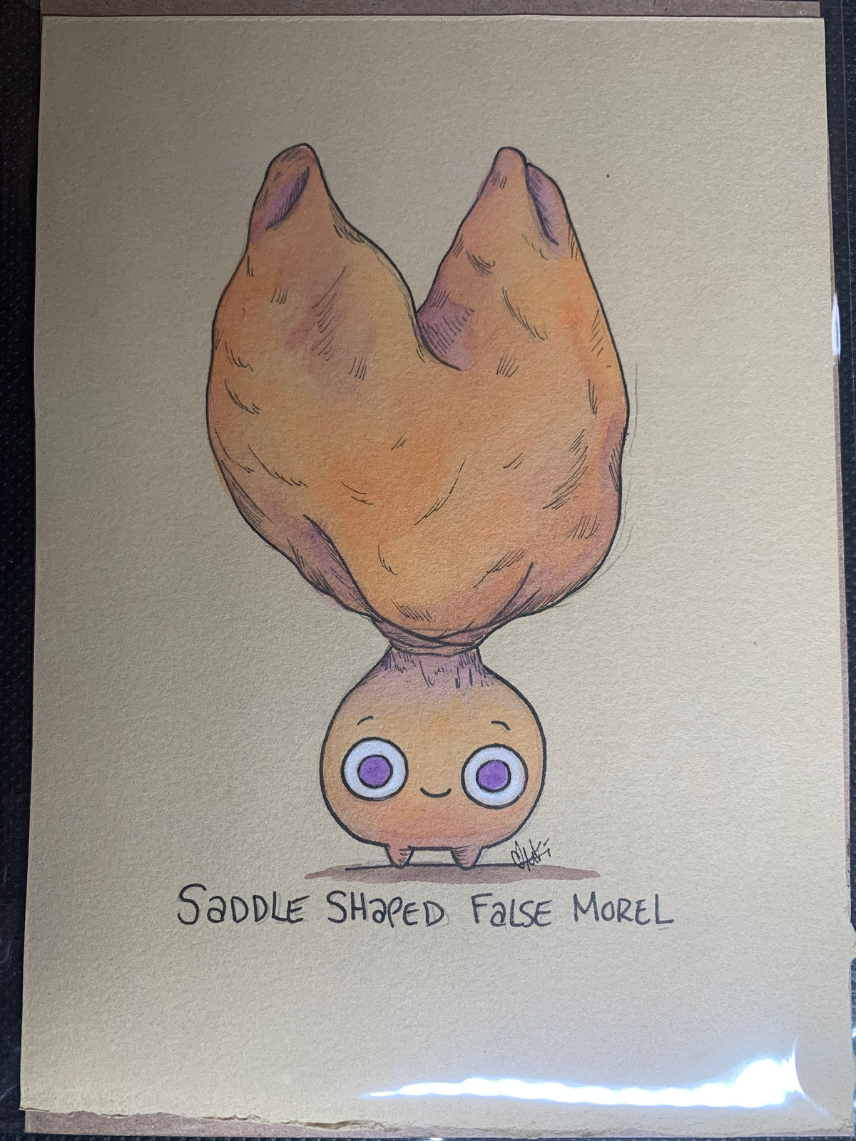 Fungi friends illustrations