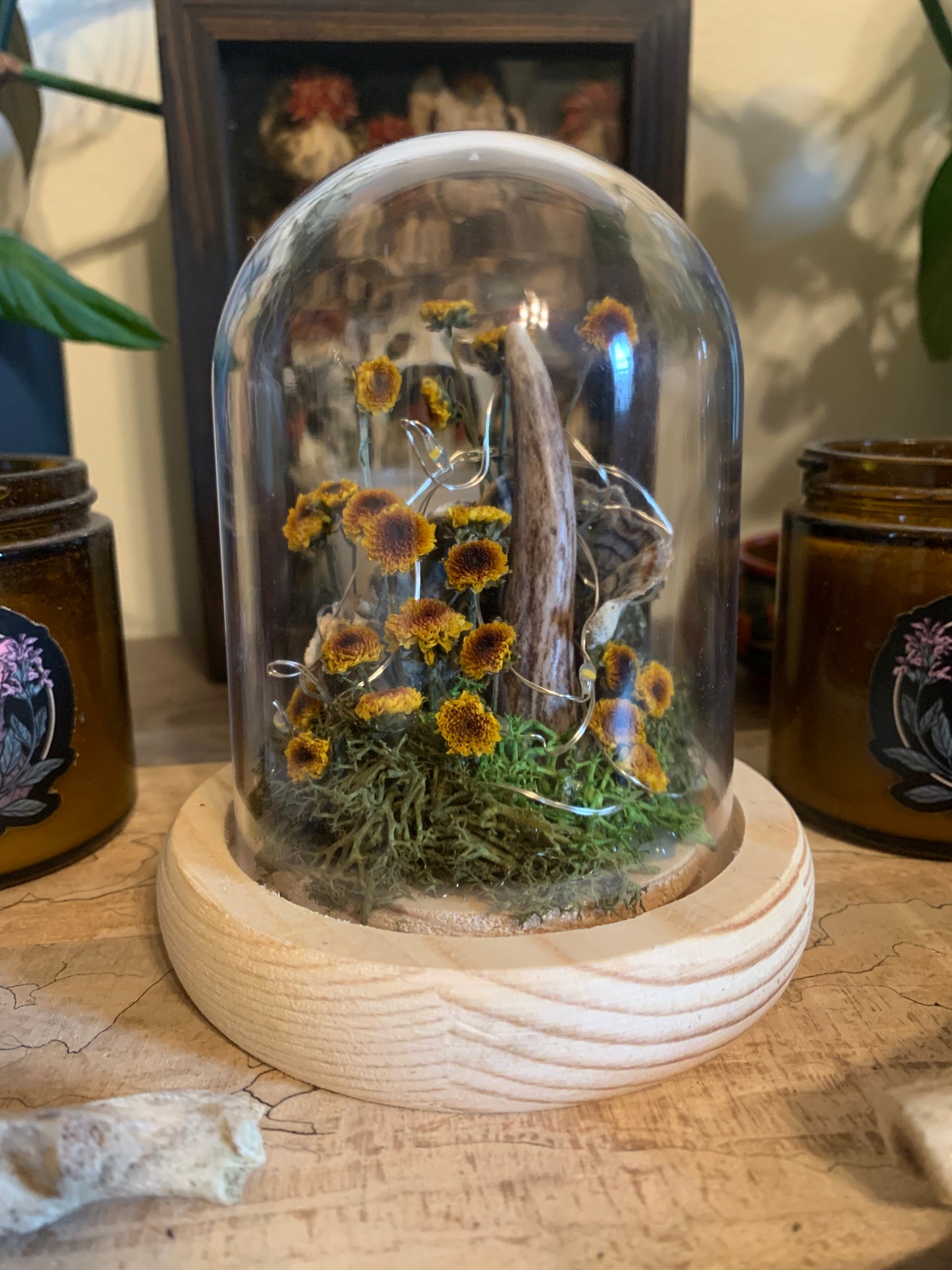 small antler shed forager light up dome