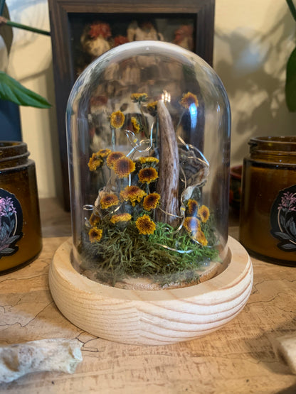 small antler shed forager light up dome