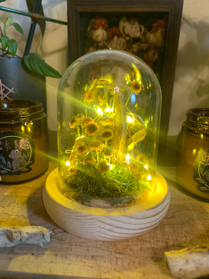 small antler shed forager light up dome