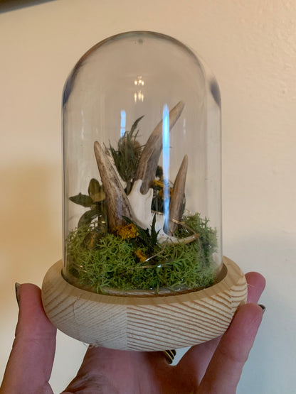 3 antler shed forager light up dome