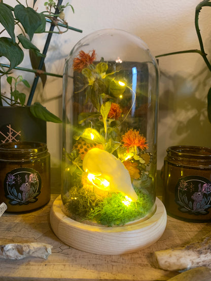 squirrel skull and safflower forager light up dome