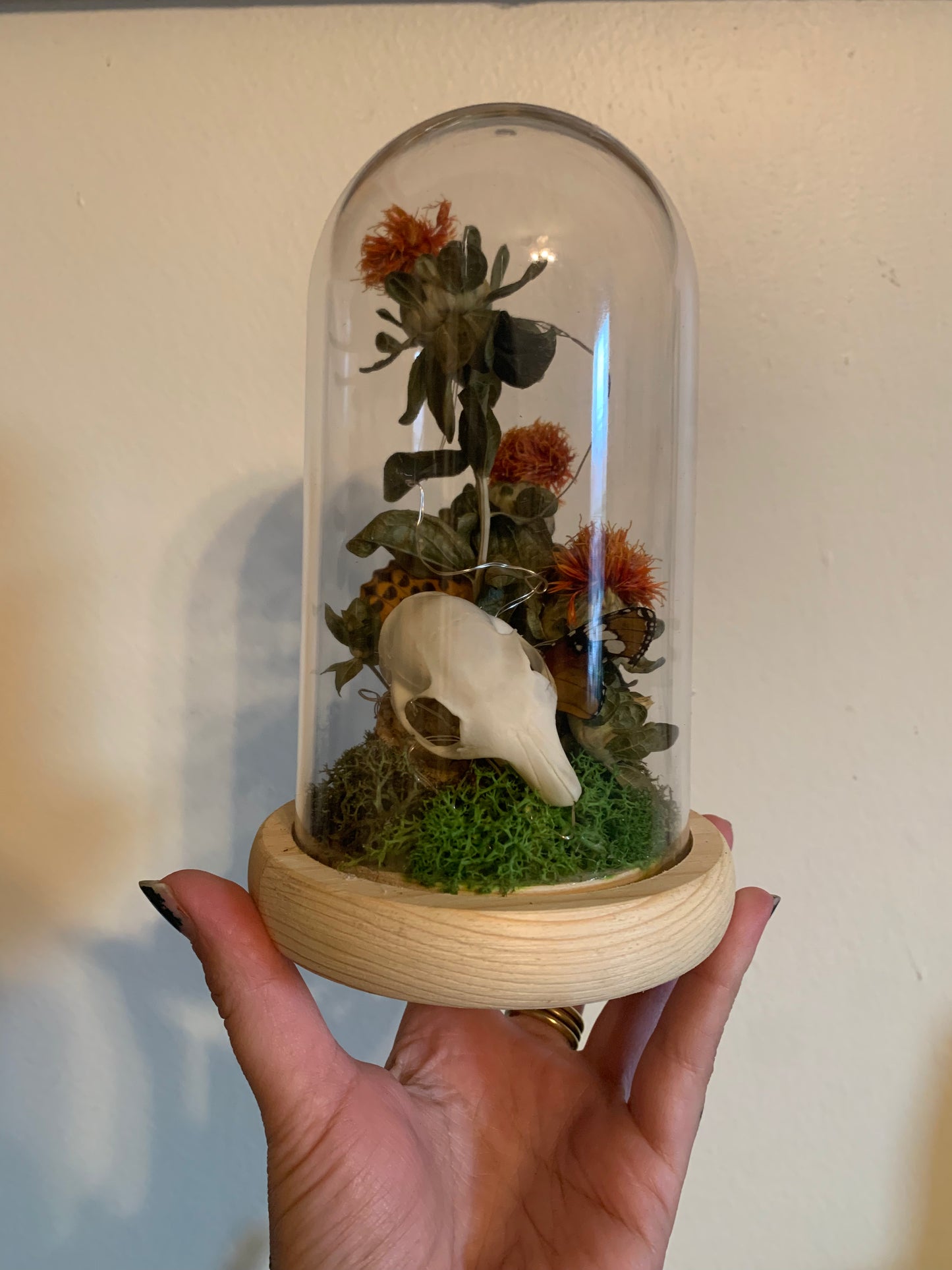squirrel skull and safflower forager light up dome