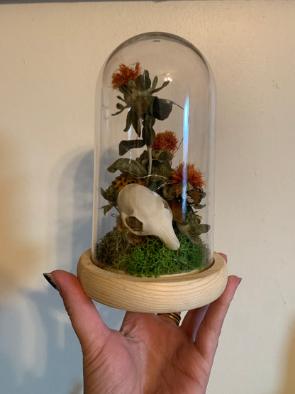 squirrel skull and safflower forager light up dome
