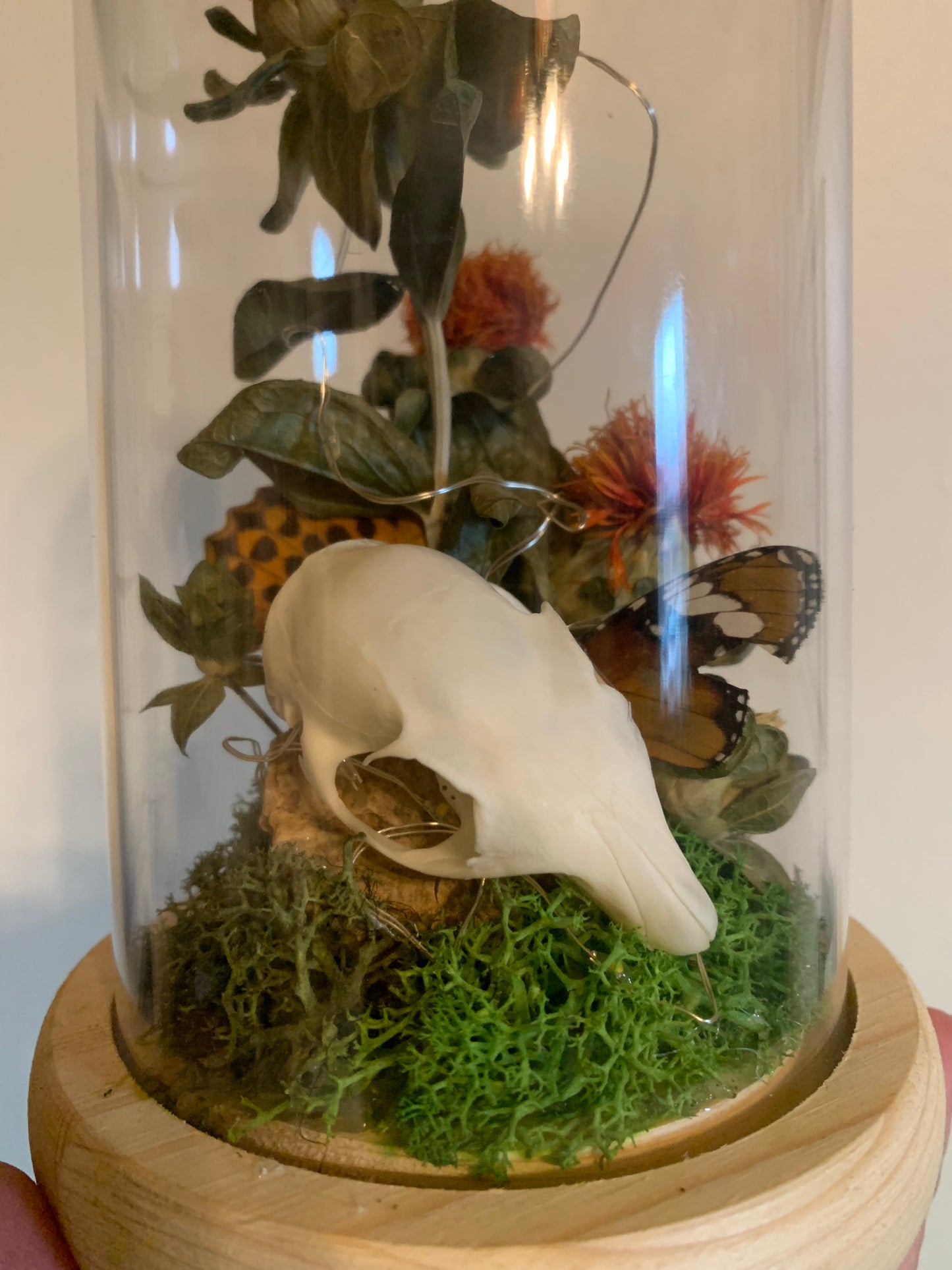 squirrel skull and safflower forager light up dome