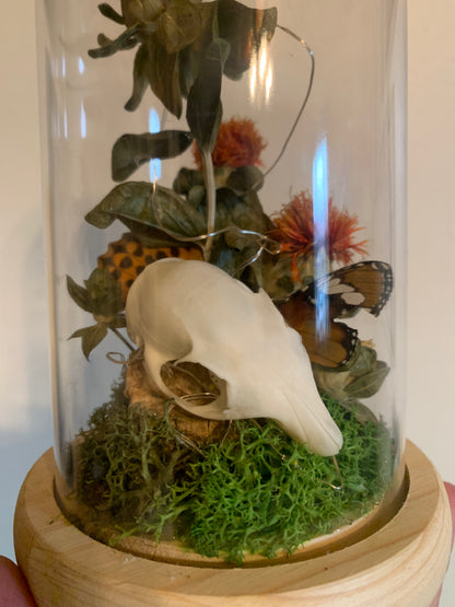 squirrel skull and safflower forager light up dome
