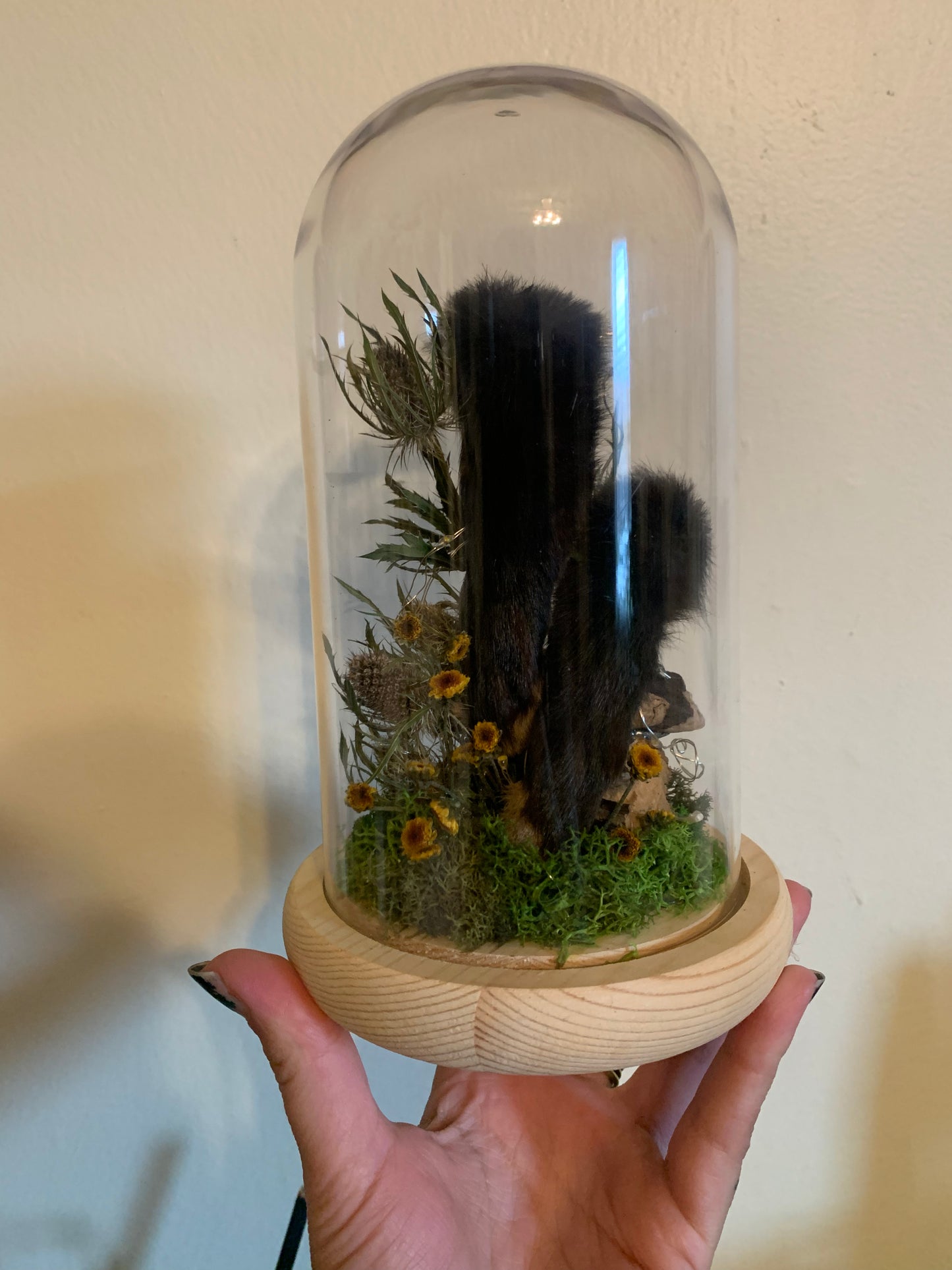 large rabbit feet forager light up dome