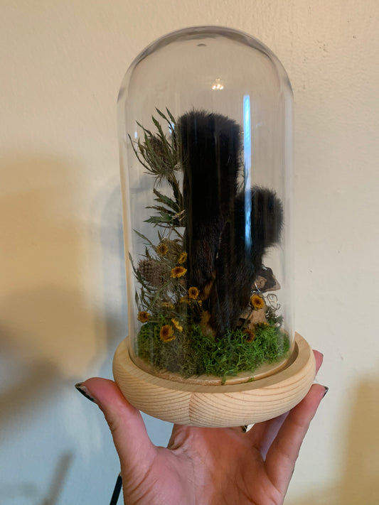 large rabbit feet forager light up dome