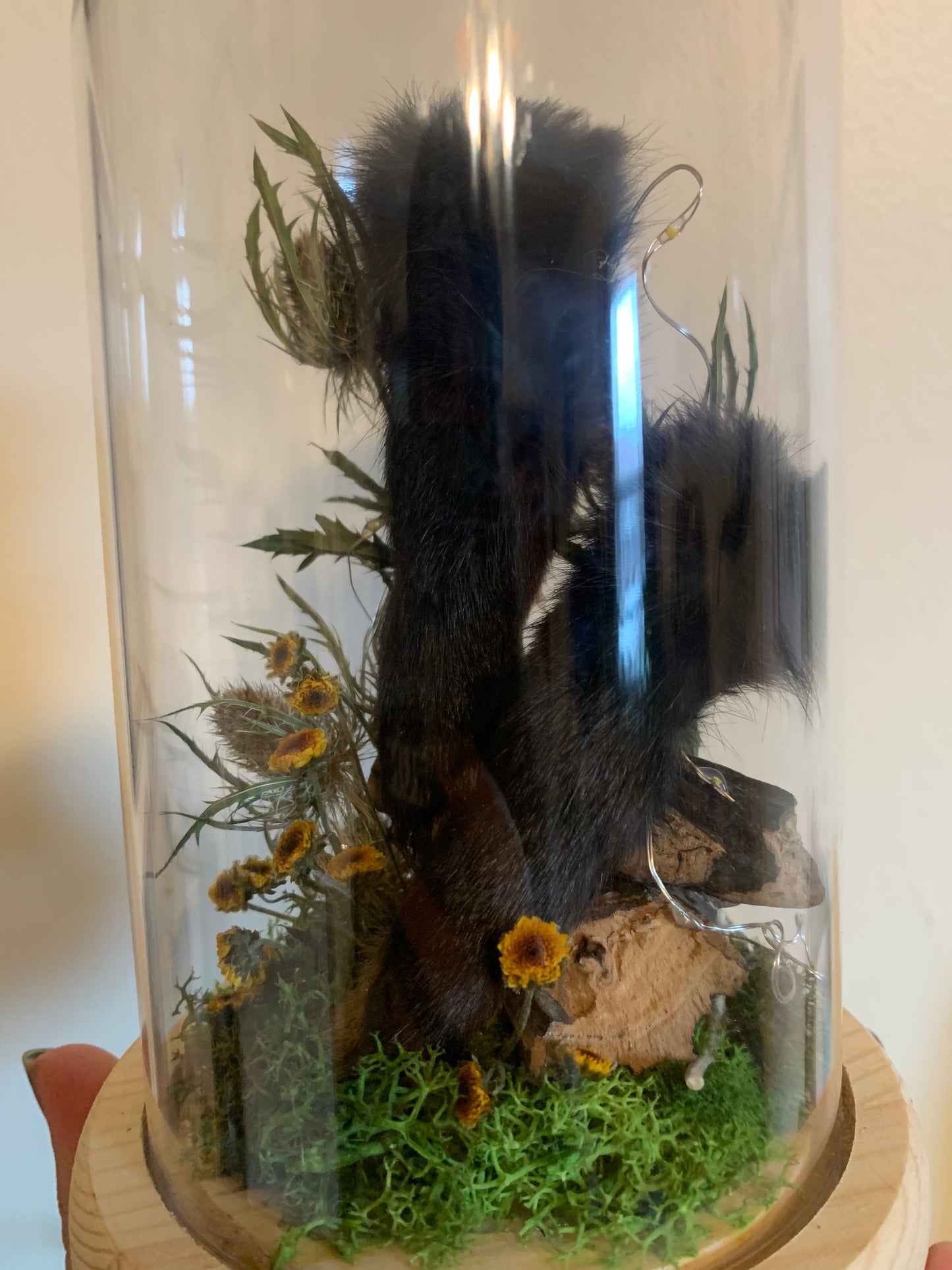 large rabbit feet forager light up dome