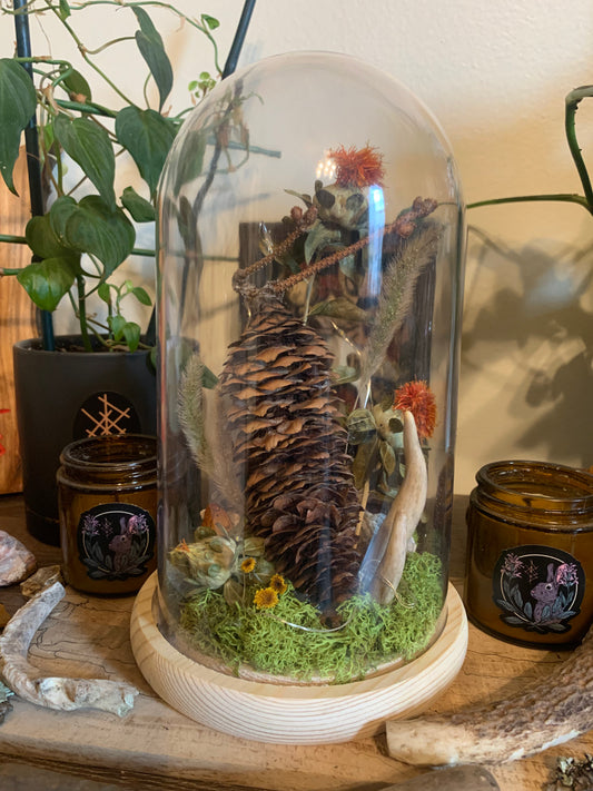 XL woodland pinecone forager light up dome