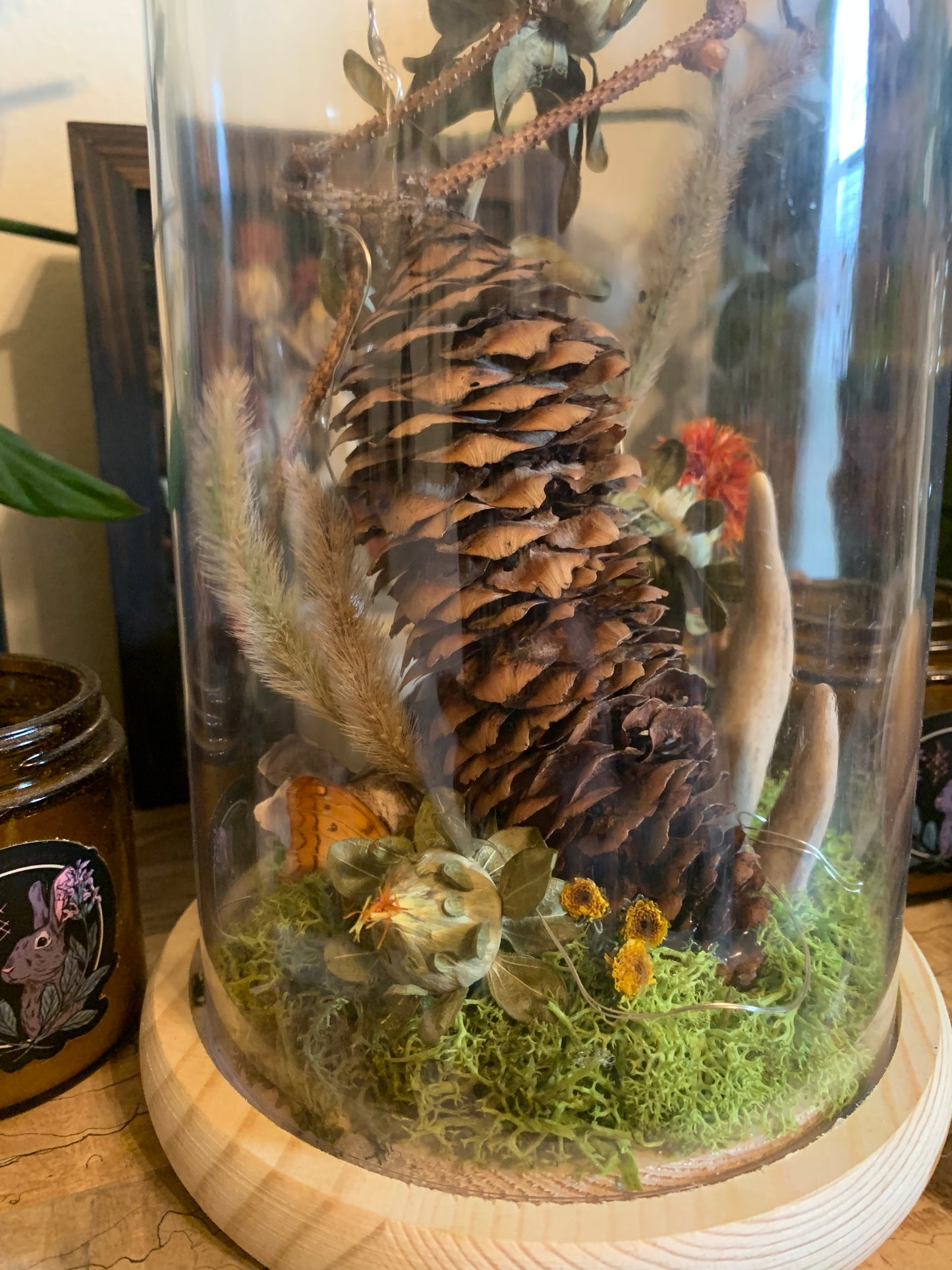 XL woodland pinecone forager light up dome