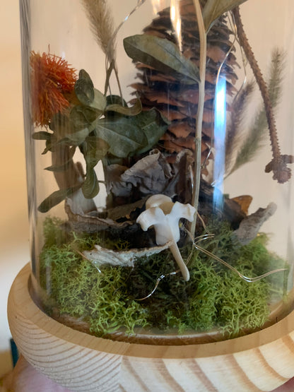 XL woodland pinecone forager light up dome
