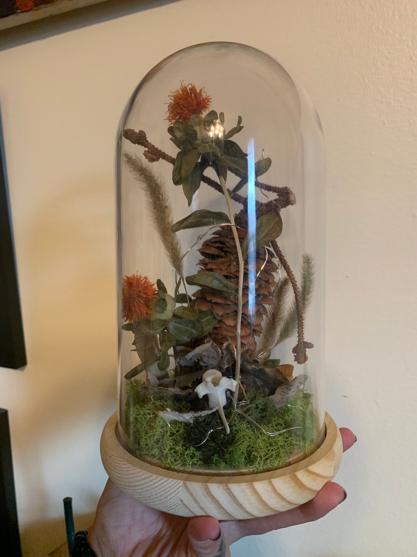 XL woodland pinecone forager light up dome