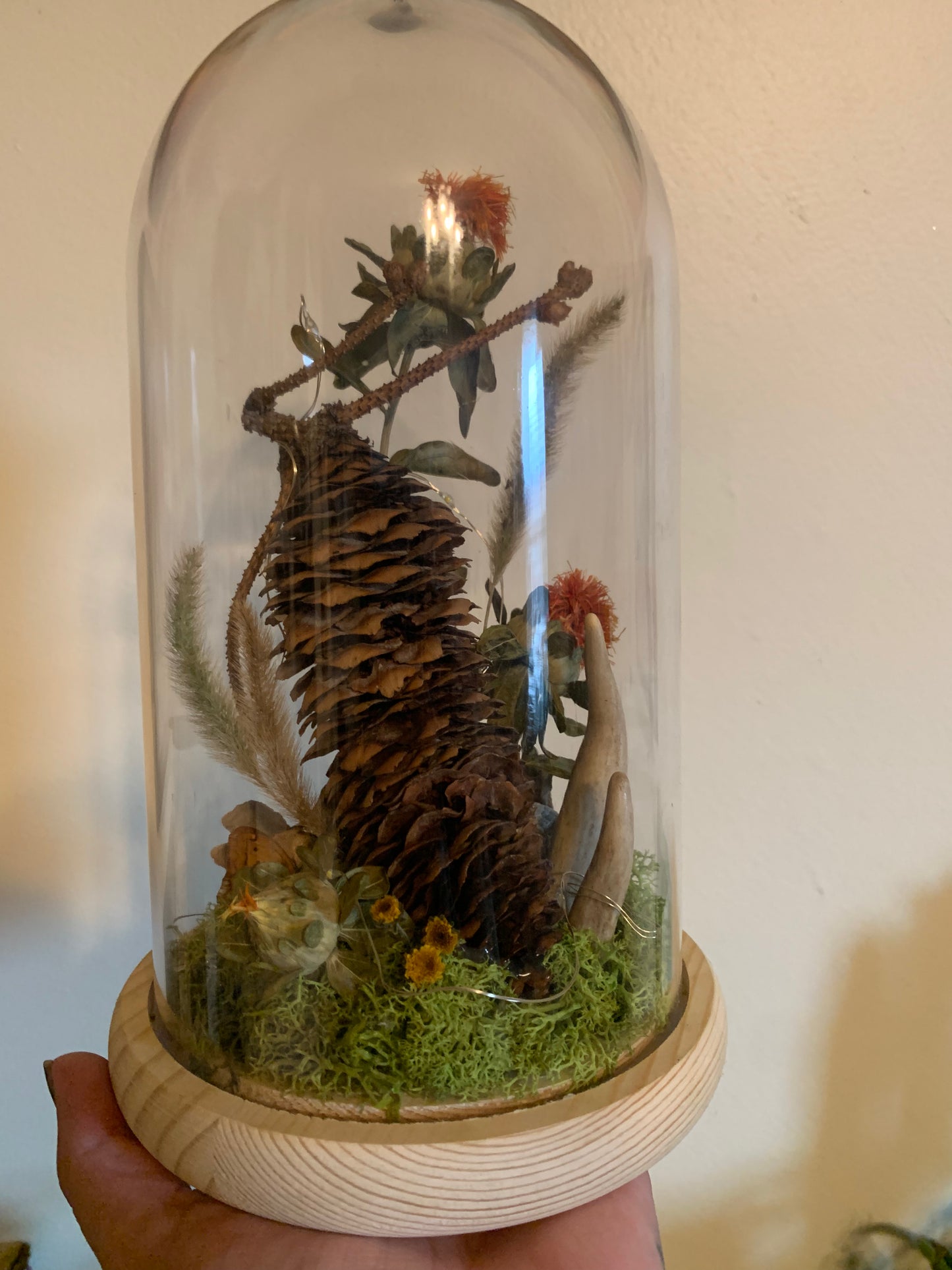 XL woodland pinecone forager light up dome