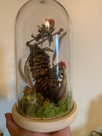 XL woodland pinecone forager light up dome