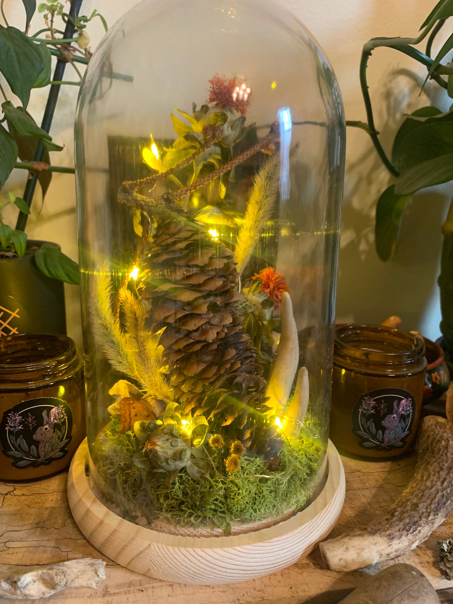XL woodland pinecone forager light up dome