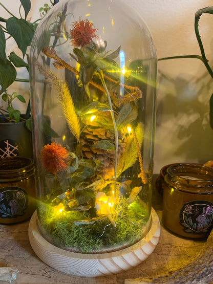 XL woodland pinecone forager light up dome
