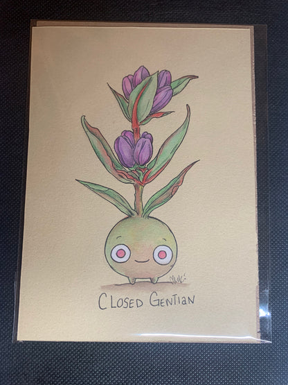 Plant friends illustrations
