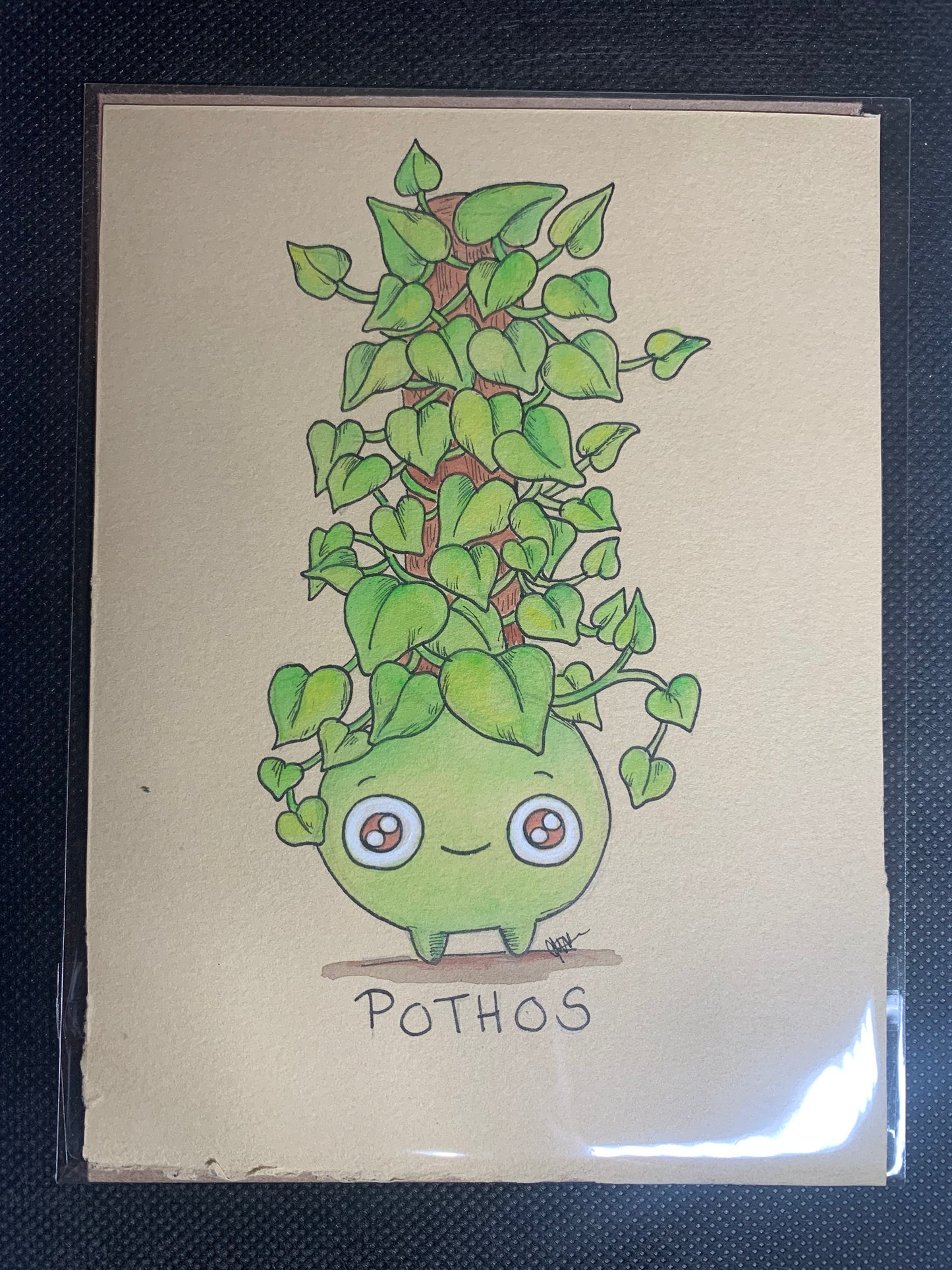 house plant buddy illustrations