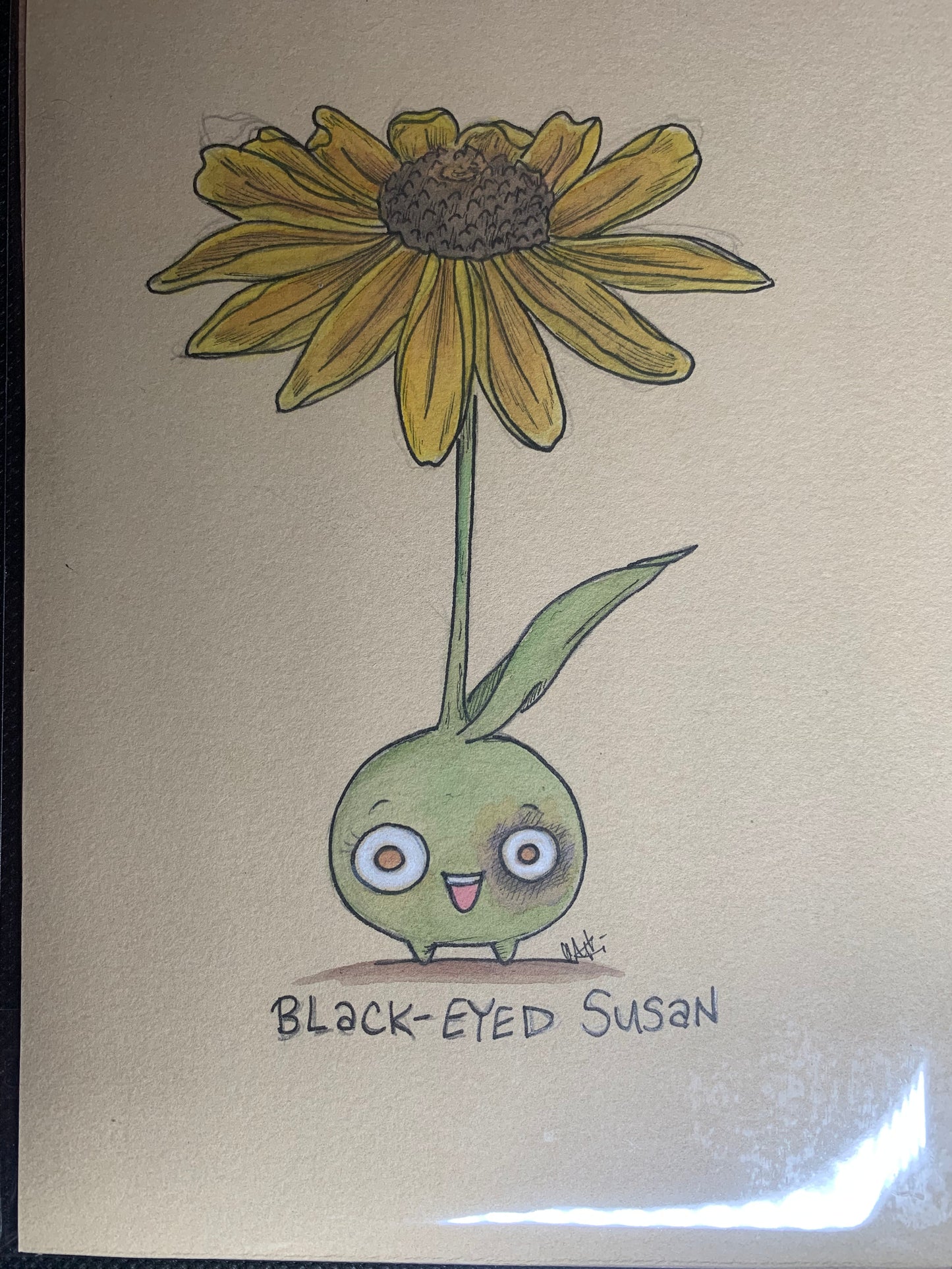 Plant friends illustrations