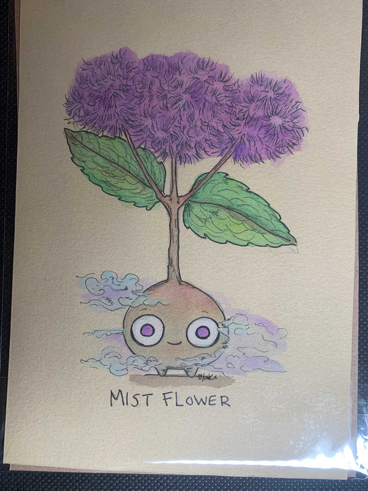 Plant friends illustrations