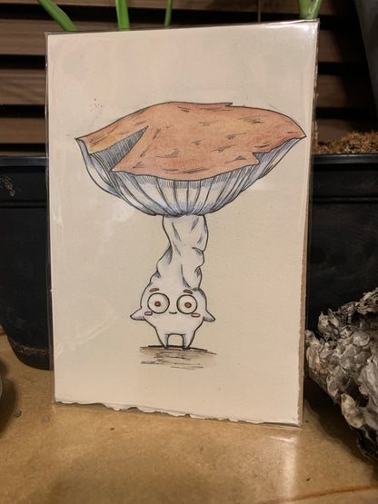 Fungi friends illustrations