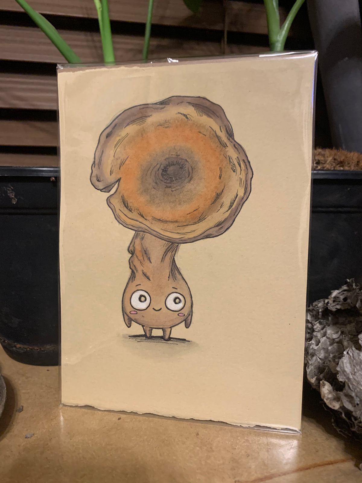 Fungi friends illustrations