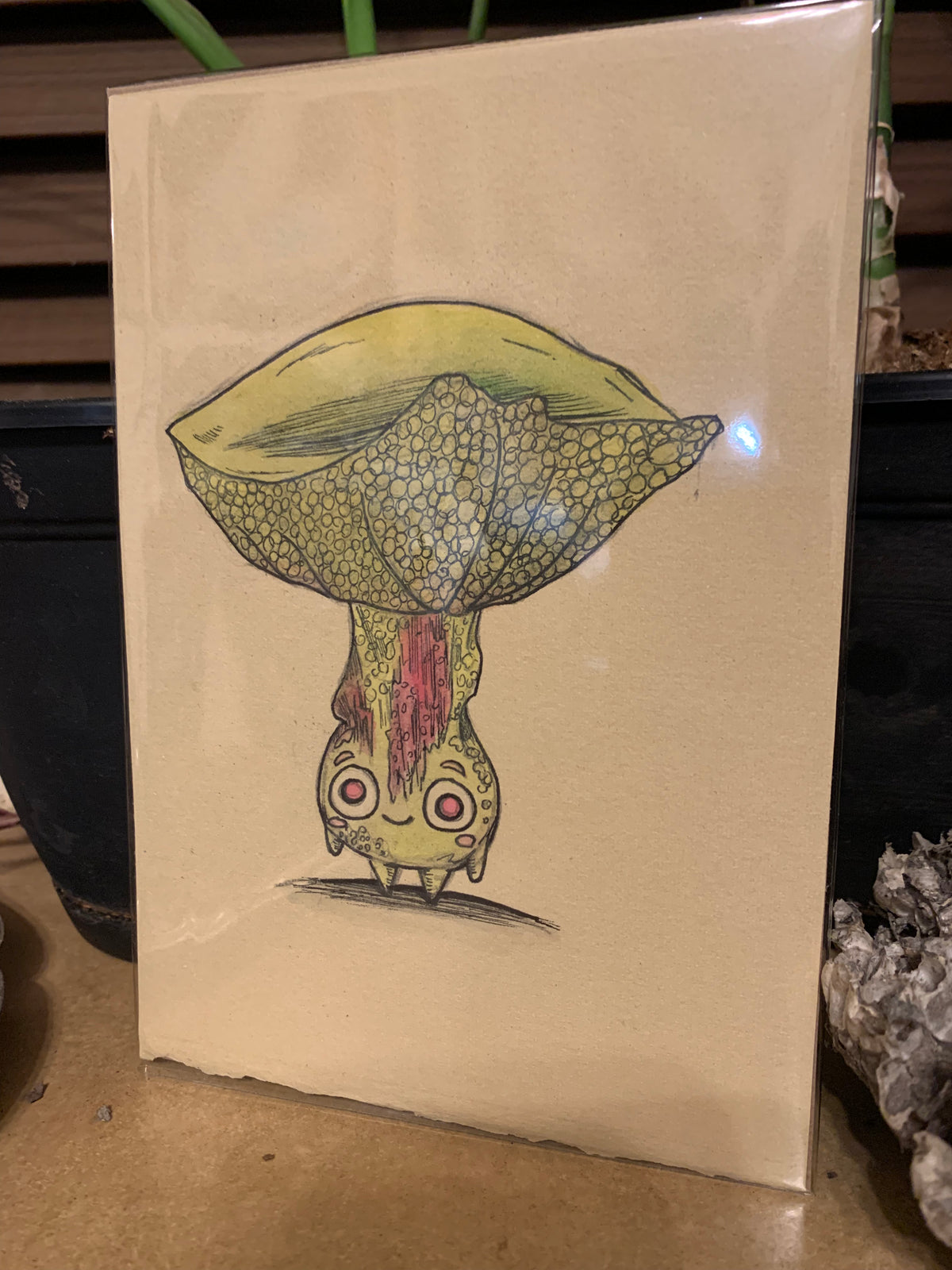 Fungi friends illustrations